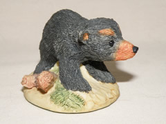 210-551 Blackie