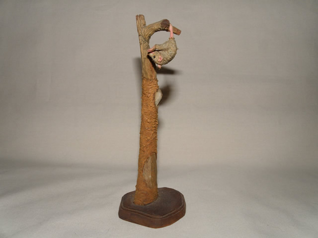 Possum Hanging from Tree 1980