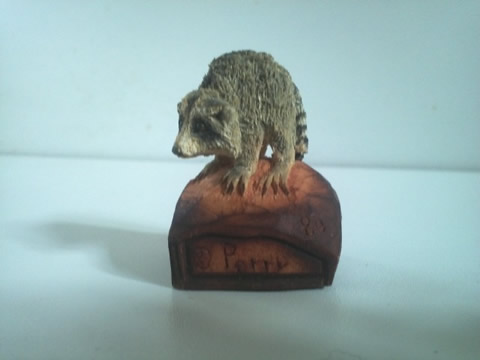 Raccoon