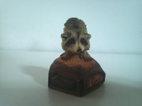 Raccoon
