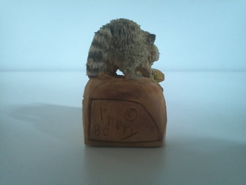 Raccoon